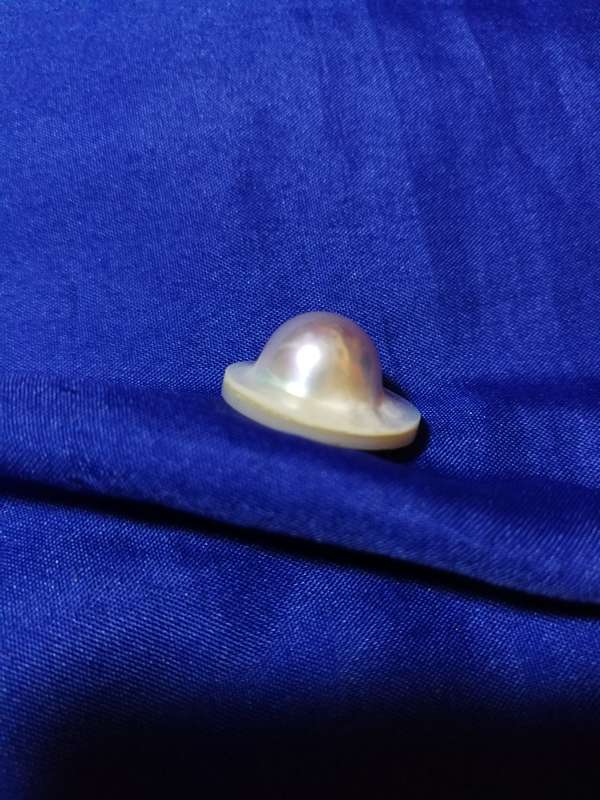 Mabe Pearl- full/ blister pear, high quality lustre. Suitable for clasp or pendant