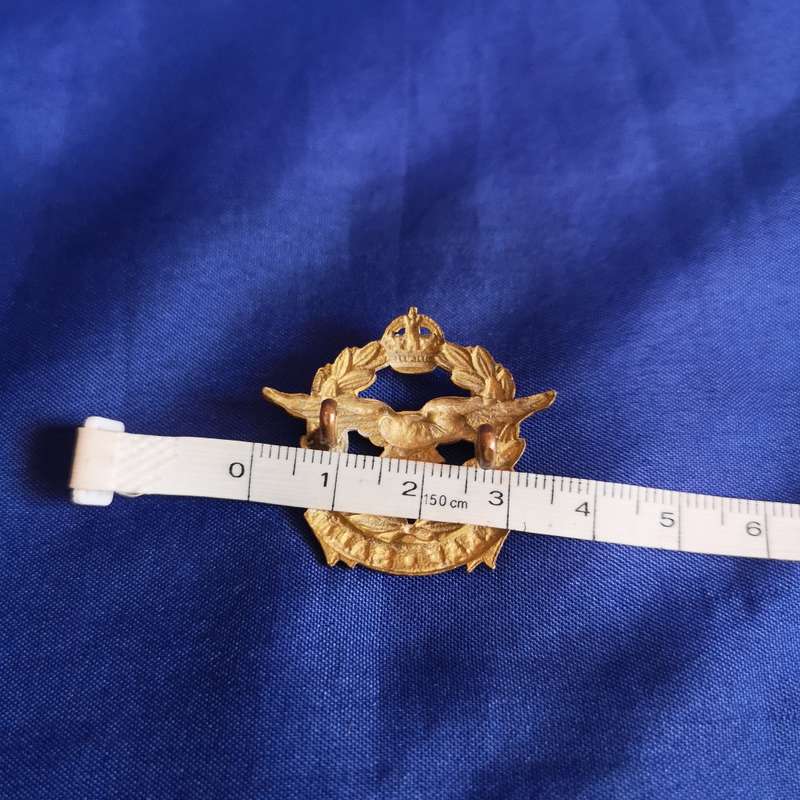 SAAF SALM Pin Badges and lug badge. Vintage