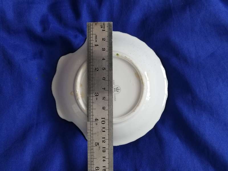 Miss Universe 1979 (Perth Western Australia) Shell Shaped Porcelain Hand Painted Gold Gilded Dish