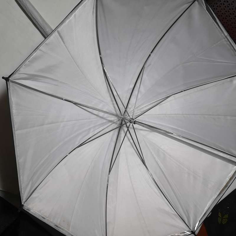 Photography Umbrellas, diffusion & white bounce. Ideal for studio use.