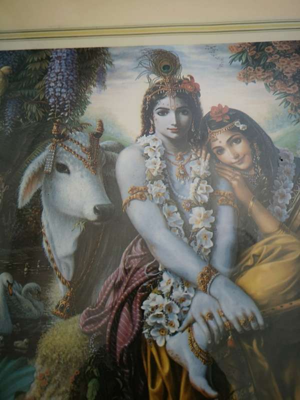 Vintage Vishnu Dasa Color Lithograph- Radha and Krishna- Vintage framed in wood frame