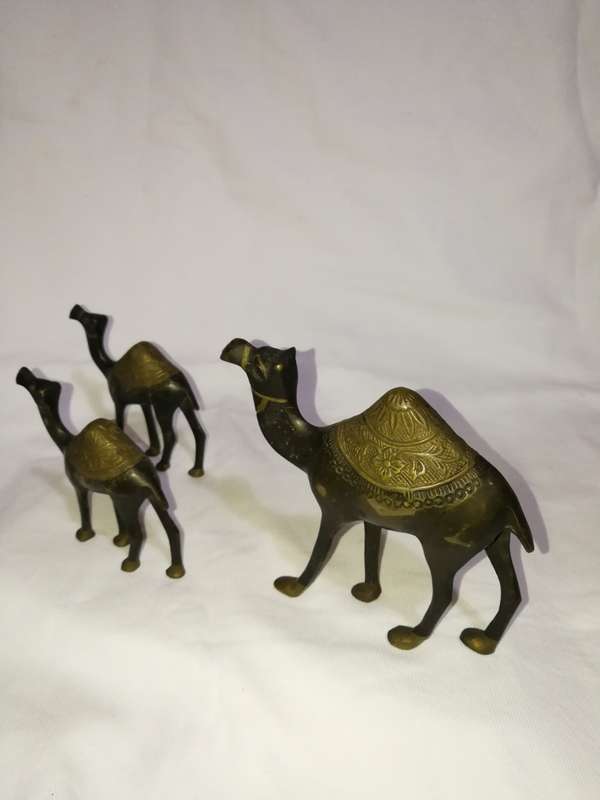 Vintage heavy brass/ bronze 3 camel set