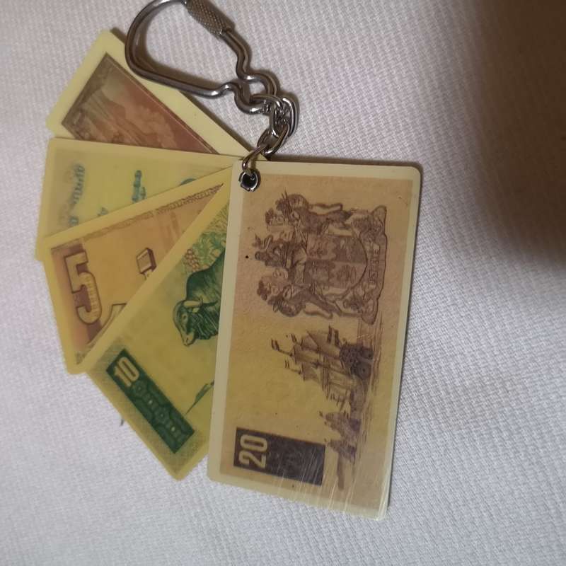 Vintage Keyring South African Banknotes Keychain