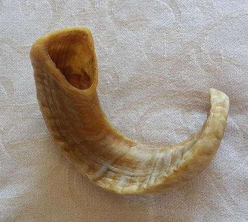 Shofar Rams Horn