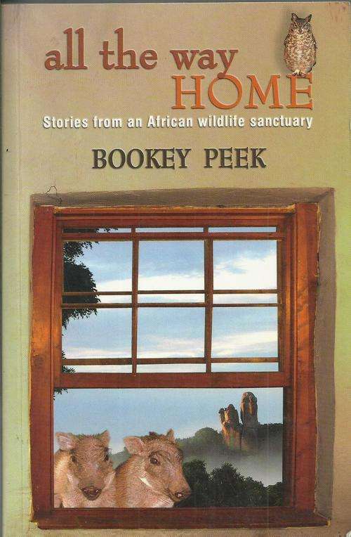 Bookey Peek - All The Way Home (Softcover)