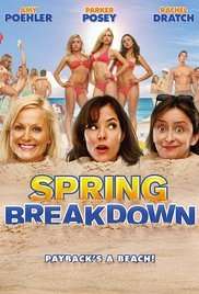 Spring Breakdown (DVD)