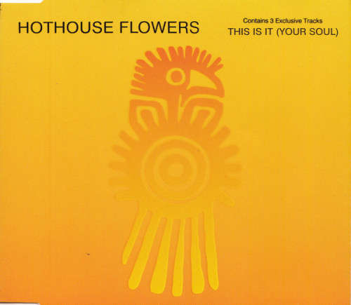 Hothouse Flowers - This Is It (Your Soul) (CD Single)[Jewel case used]