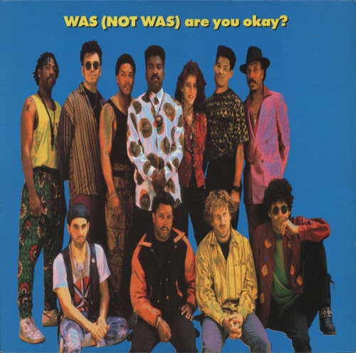 Was (Not Was) - Are You Okay? (CD)