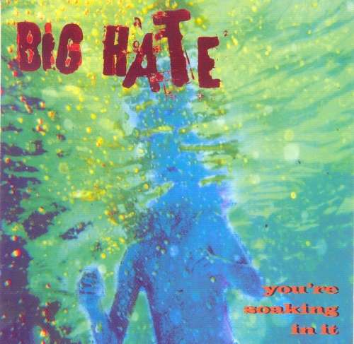 Big Hate - You`re Soaking In It (CD)