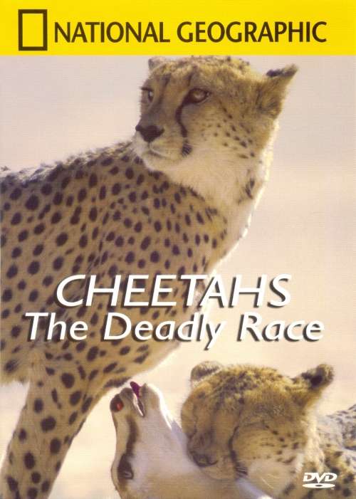 National Geographic - Cheetahs The Deadly Race (DVD)