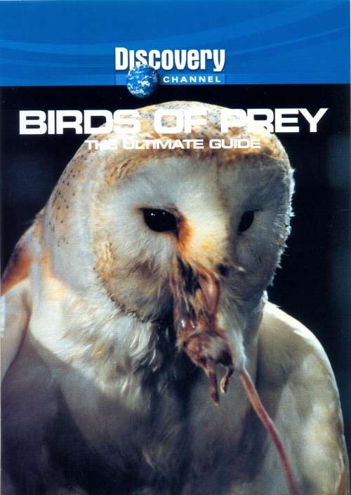 Discovery Channel - Birds Of Prey : The Ultimate Guide (DVD)