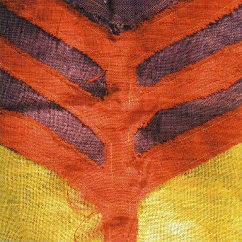 Yeah Yeah Yeahs - Show Your Bones (CD)