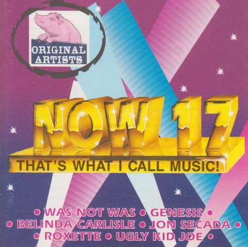 Now 17 - Now That`s What I Call Music : Various (CD)