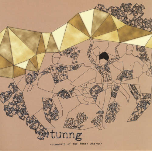 Tunng - Comments Of The Inner Chorus (CD)