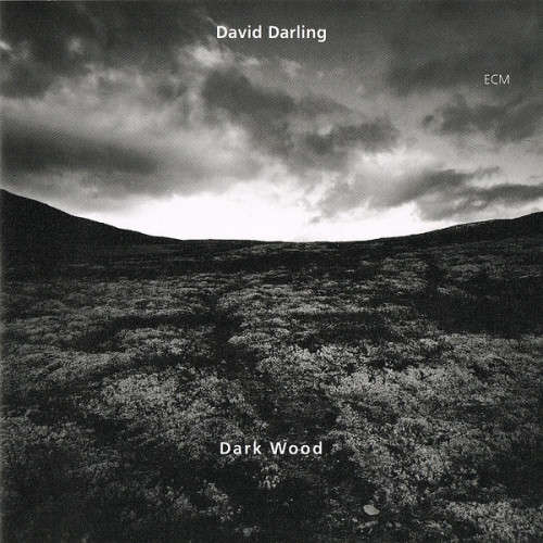 David Darling - Dark Wood (CD)