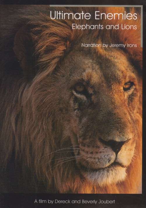 Ultimate Enemies - Elephants And Lions (DVD)
