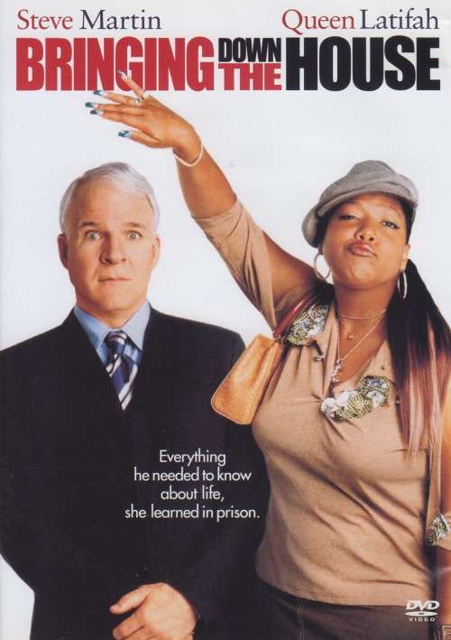 Bringing Down The House (DVD)