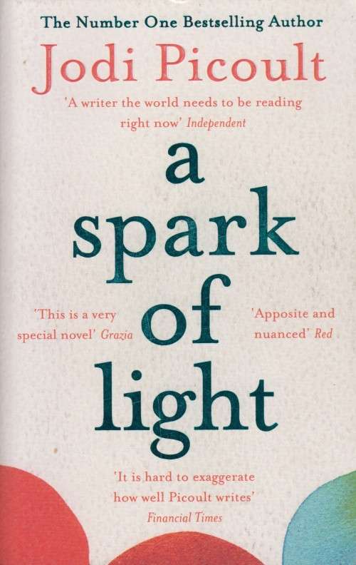 Jodi Picoult - A Spark Of Light (Softcover)
