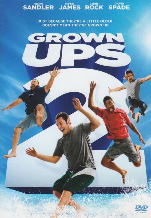 Grown Ups 2 (DVD)