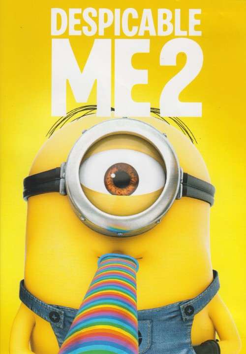 Despicable Me 2 (DVD)