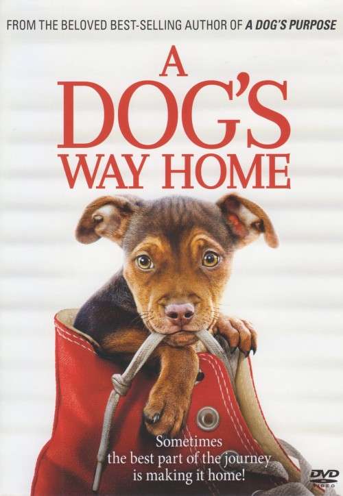 A Dog`s Way Home (DVD)