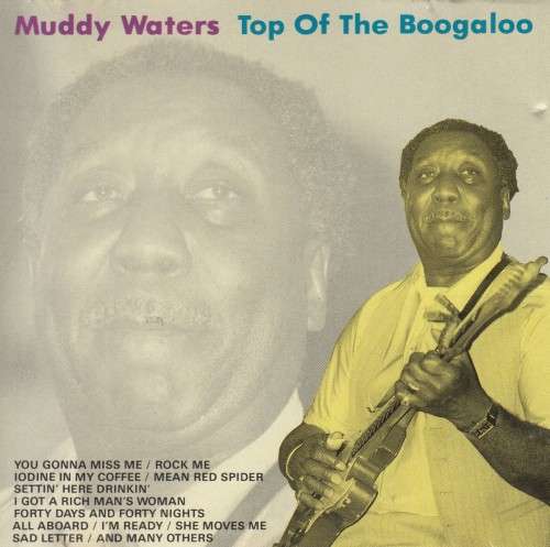 Muddy Waters - Top Of The Boogaloo (CD)