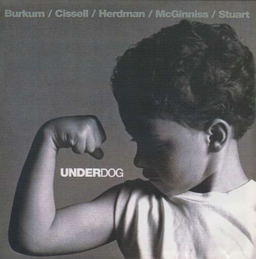 Audio Adrenaline - Underdog (CD)