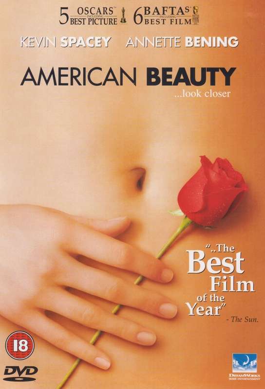 American Beauty (DVD)