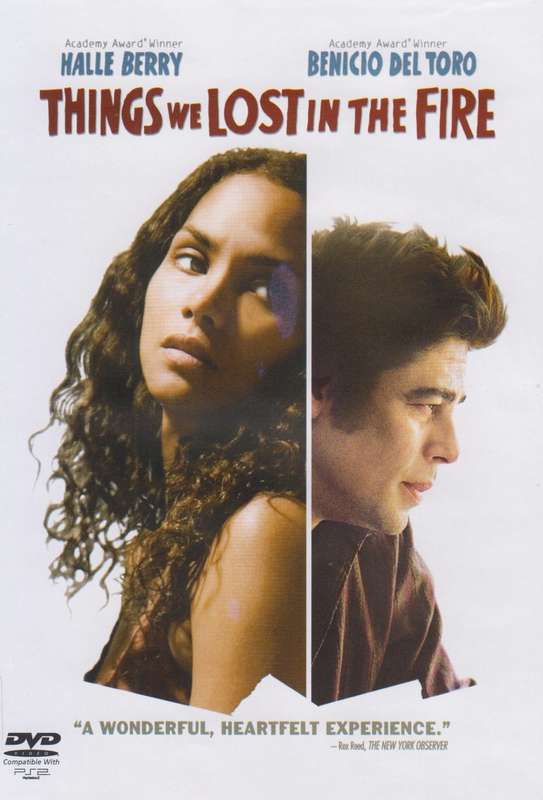 Things We Lost In The Fire (DVD)