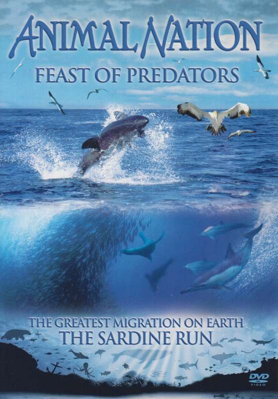 Animal Nation - Feast Of Predators (DVD)