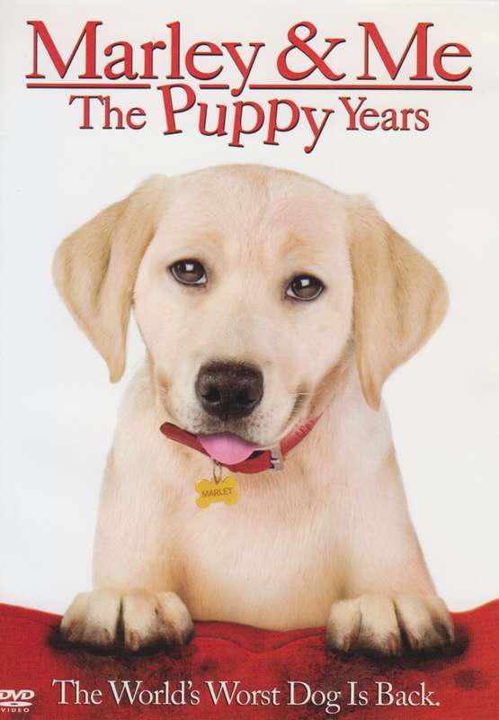 Marley & Me - The Puppy Years (DVD)