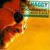 Shaggy : Boombastic - CD
