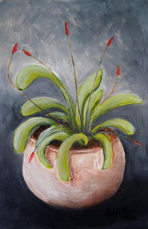 Original Painting - Blossom - by SA artist Heidi Kern
