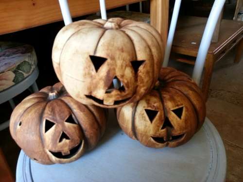 STUNNING GARDEN PUMKINS
