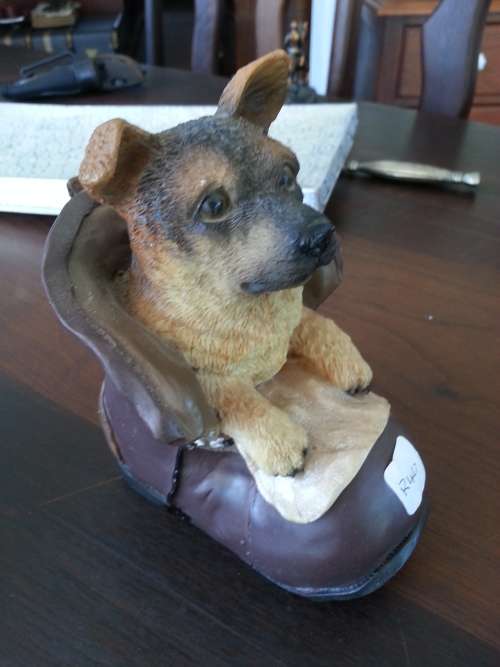 CUTE DOGGY IN A SHOE