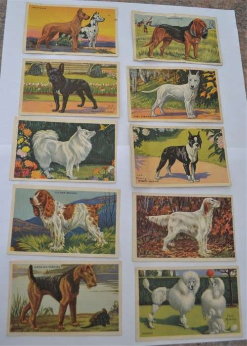 Kellogg`s Gro-Pup, collection of 23 dog  pictures of 24, rare item