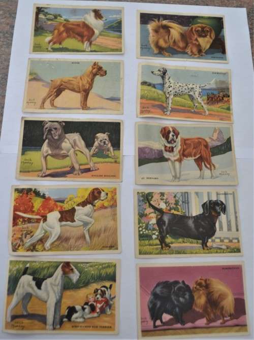 Kellogg`s Gro-Pup, collection of 23 dog  pictures of 24, rare item