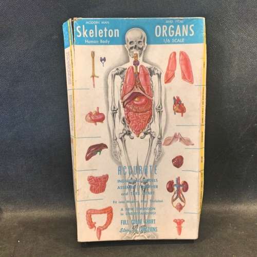 Vintage Boxed Skeleton and Diagrams!!!