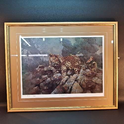 Framed, Signed Original Kobus Moller "Close Encounter" (700mm x 600mm)