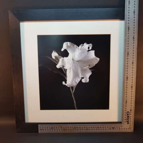 Framed Black and White Orchid Photo (500mm x 500mm)