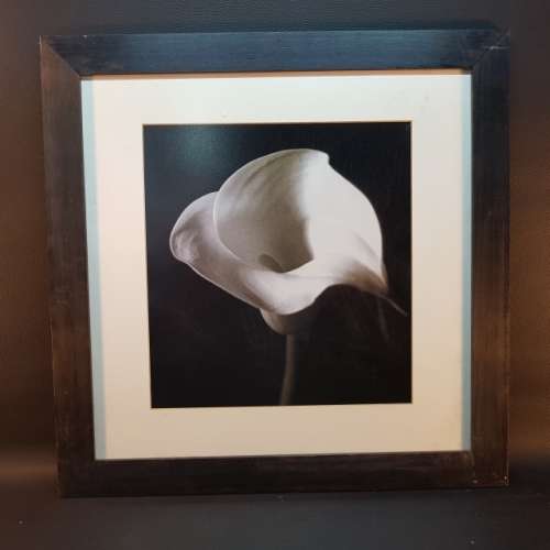 Framed Black and White Flower Photo (500mm x 500mm)