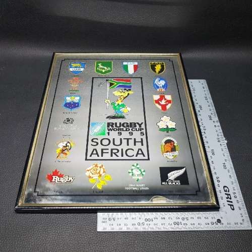 1995 World Cup Rugby Teams Display Mirror