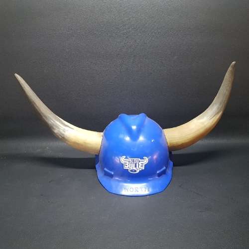 Highly Collectible Blue Bulls Horned Helmet!!!