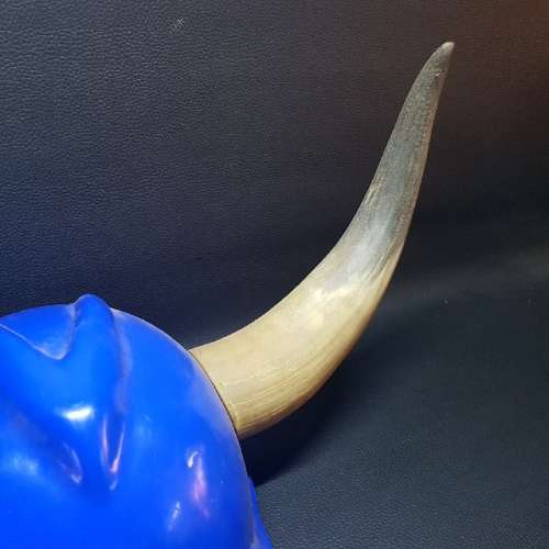 Highly Collectible Blue Bulls Horned Helmet!!!