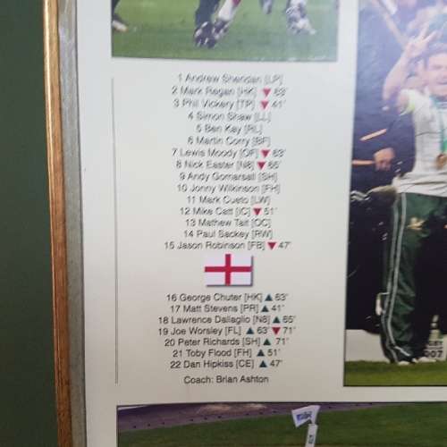 LARGE Framed 2007 Rugby World Cup Champions Official Telkom Artwork (1500 x 1000)