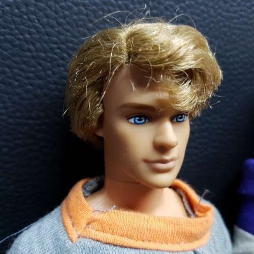 Boy Band Doll Collection (Bid for all 4)