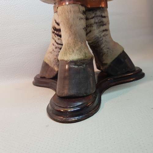 Rare!!! Vintage Mounted Zebra Hoof and Copper Trophy!!!