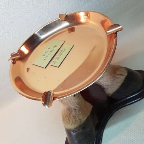 Rare!!! Vintage Mounted Zebra Hoof and Copper Trophy!!!