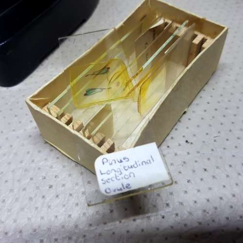 Vintage Original Boxed Cast Metal Microscope!!!
