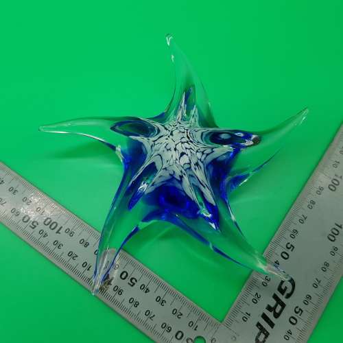 Large Hand Blown Glass Star Fish Paperweight!!!